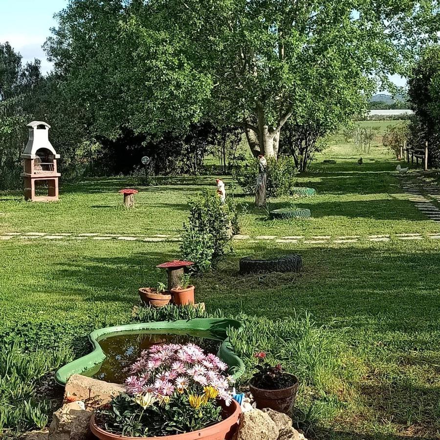 Agriturismo Il Cipresso Villa Vada Bagian luar foto