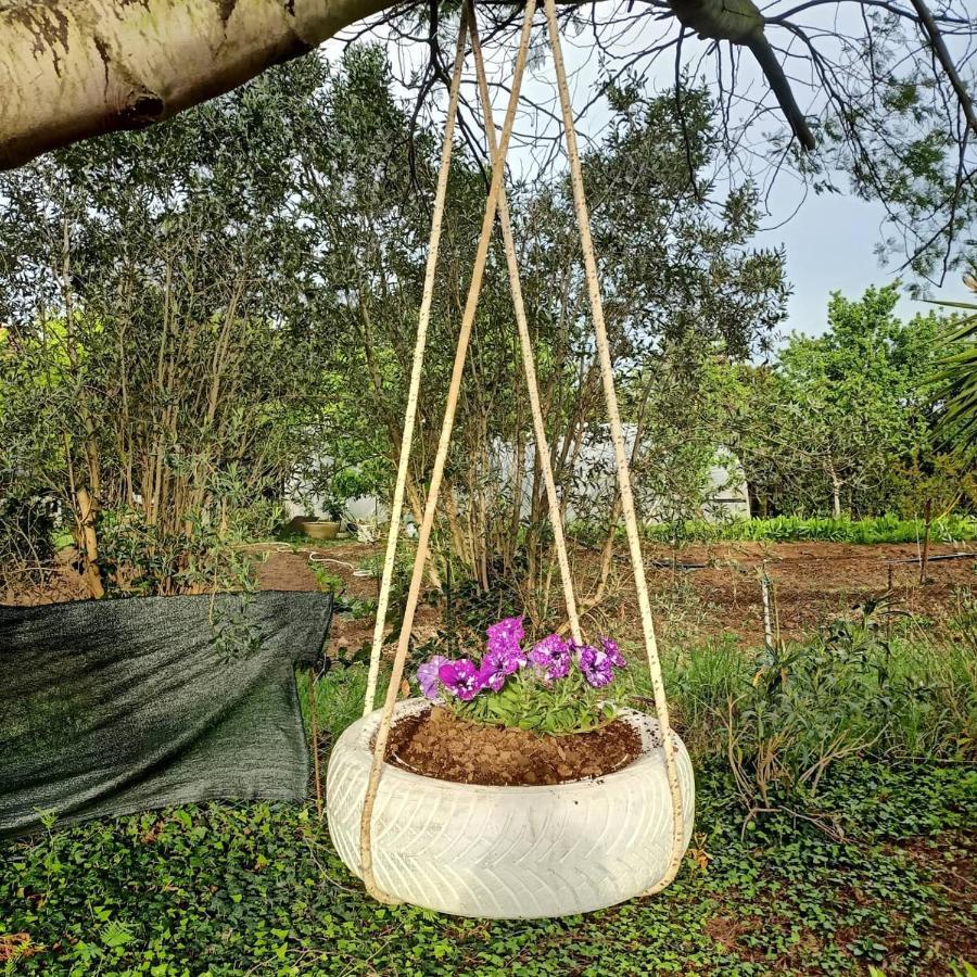 Agriturismo Il Cipresso Vada Bagian luar foto