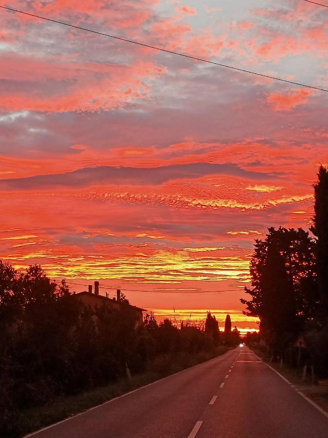 Agriturismo Il Cipresso Villa Vada Bagian luar foto