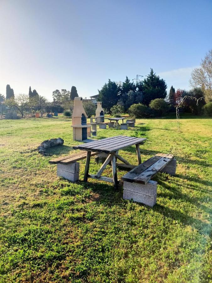 Agriturismo Il Cipresso Vada Bagian luar foto