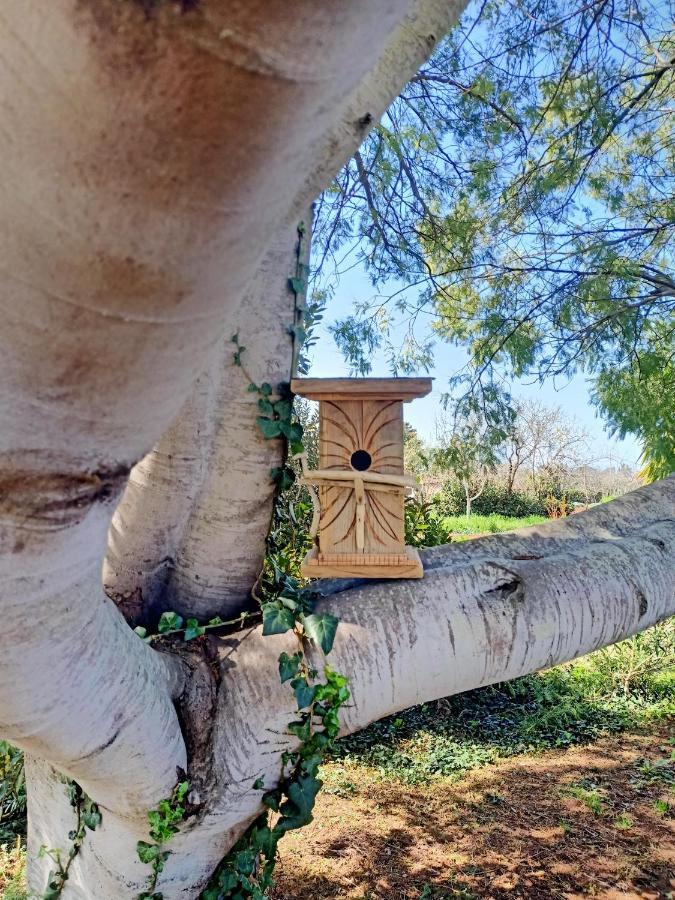 Agriturismo Il Cipresso Villa Vada Bagian luar foto