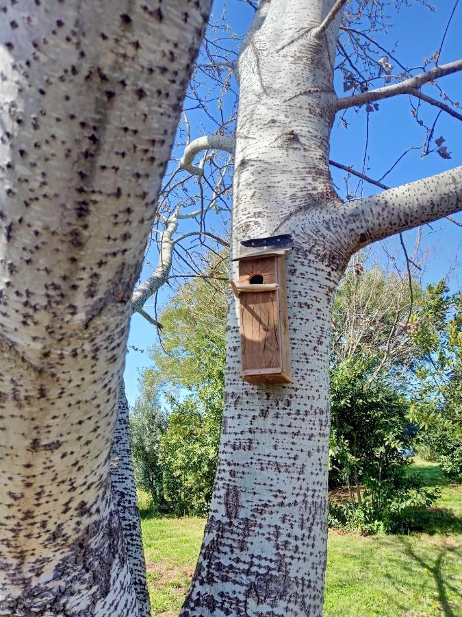 Agriturismo Il Cipresso Vada Bagian luar foto
