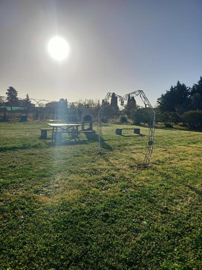 Agriturismo Il Cipresso Villa Vada Bagian luar foto