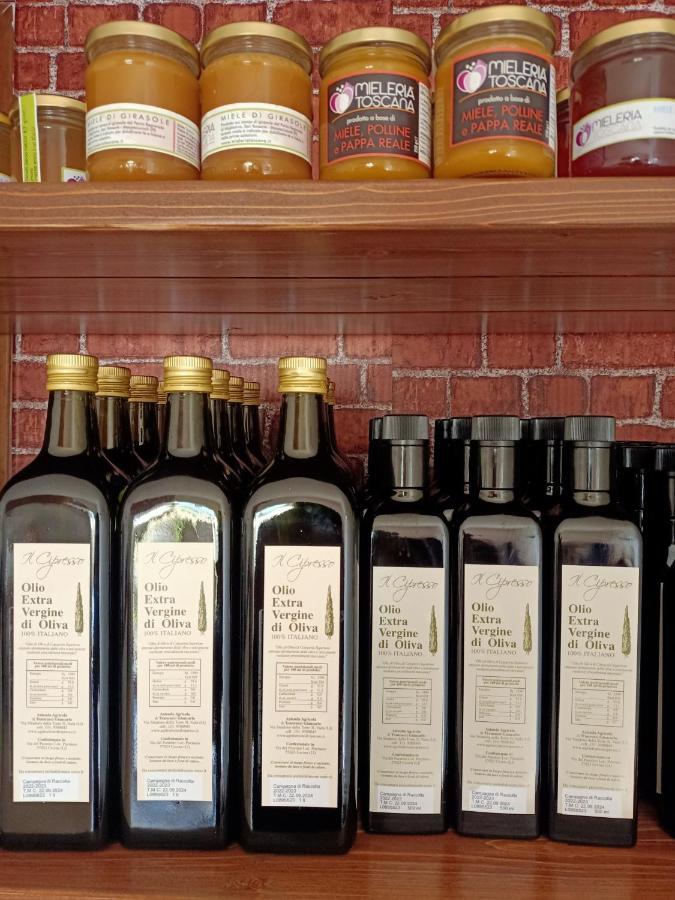 Agriturismo Il Cipresso Vada Bagian luar foto