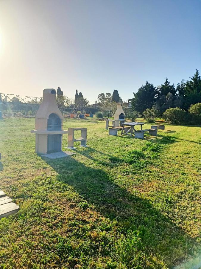 Agriturismo Il Cipresso Vada Bagian luar foto