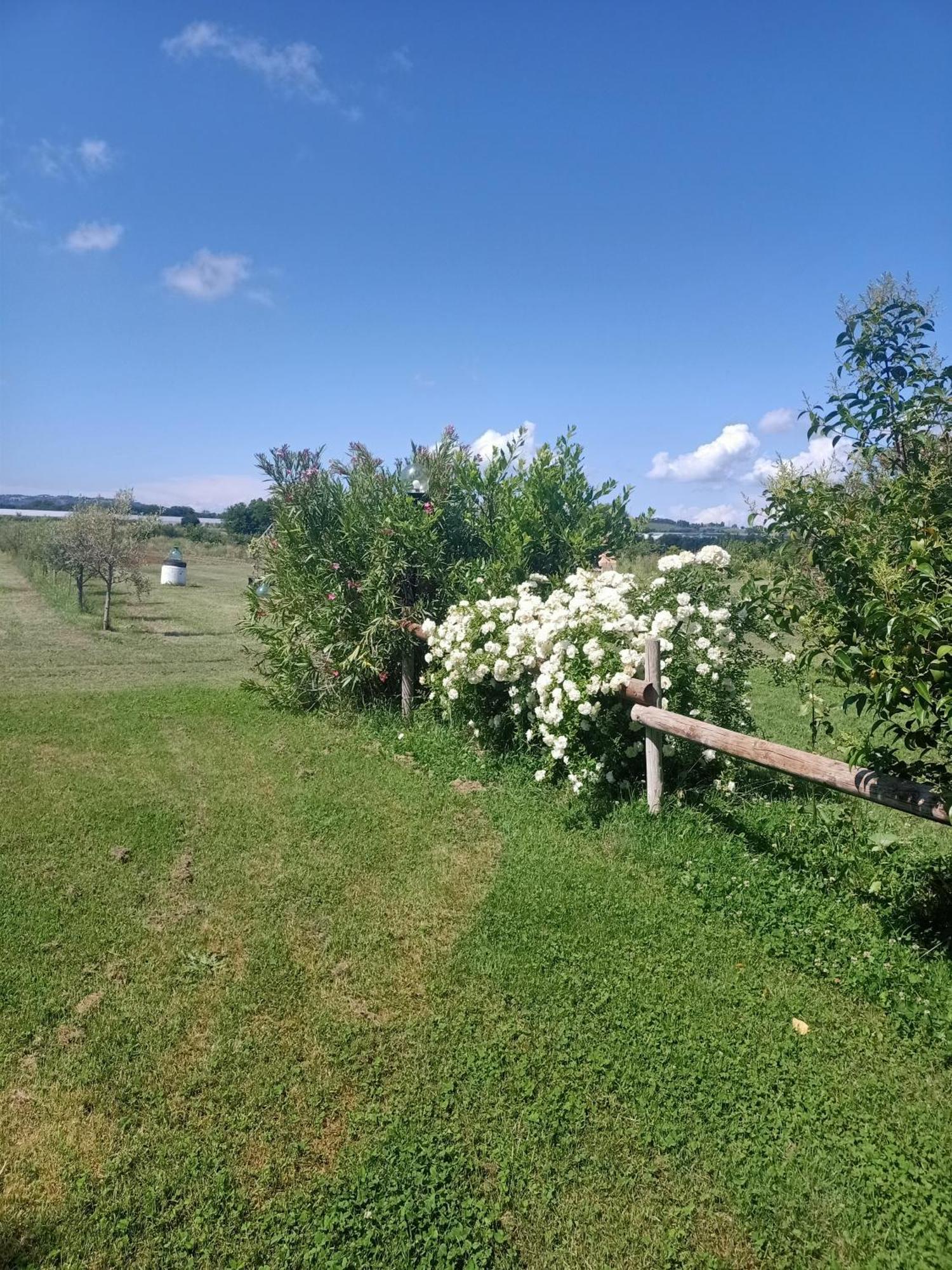 Agriturismo Il Cipresso Vada Bagian luar foto