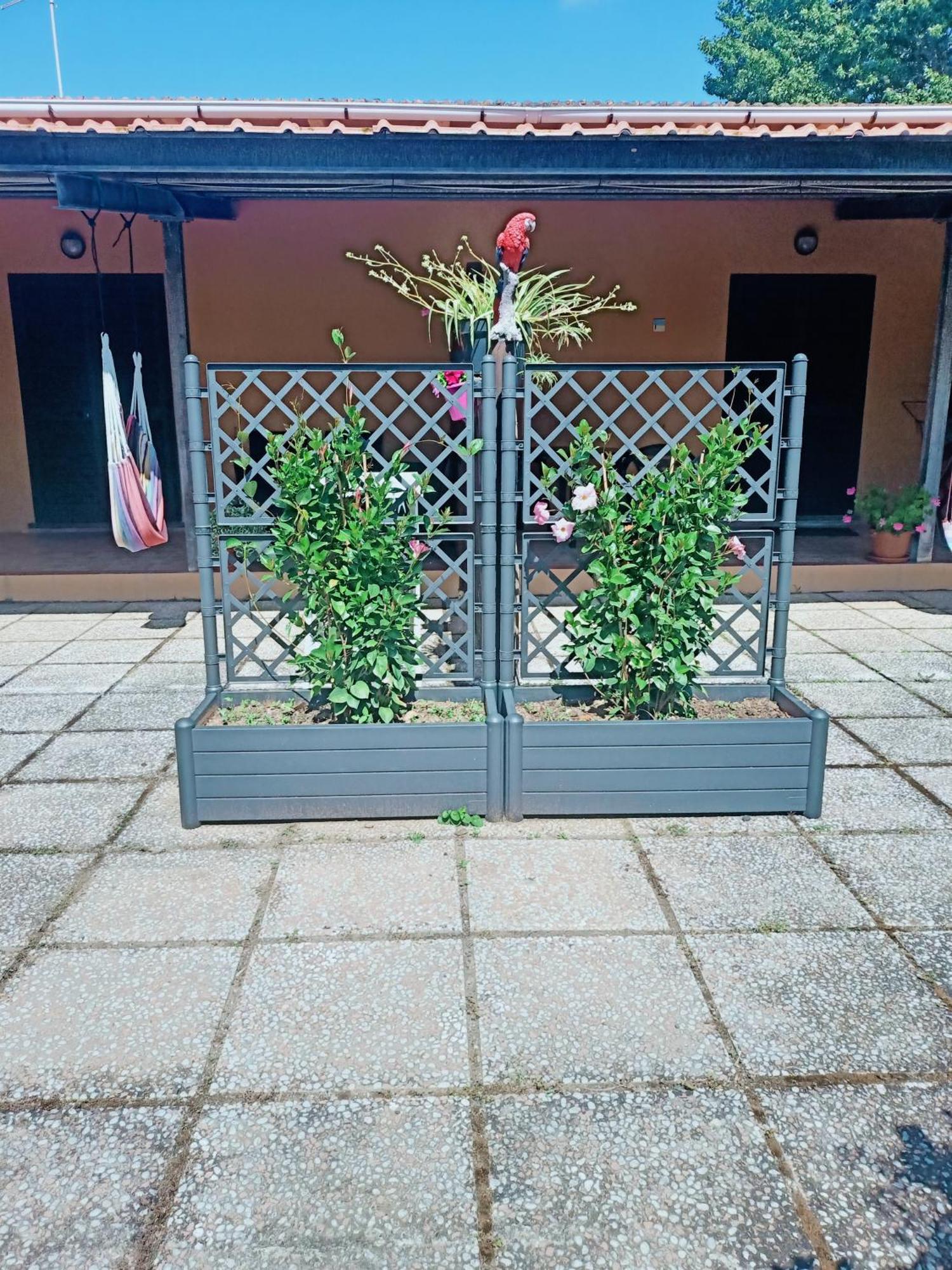 Agriturismo Il Cipresso Vada Bagian luar foto