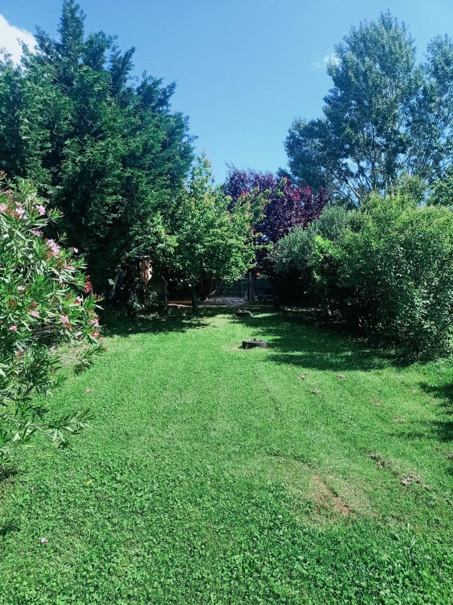 Agriturismo Il Cipresso Vada Bagian luar foto