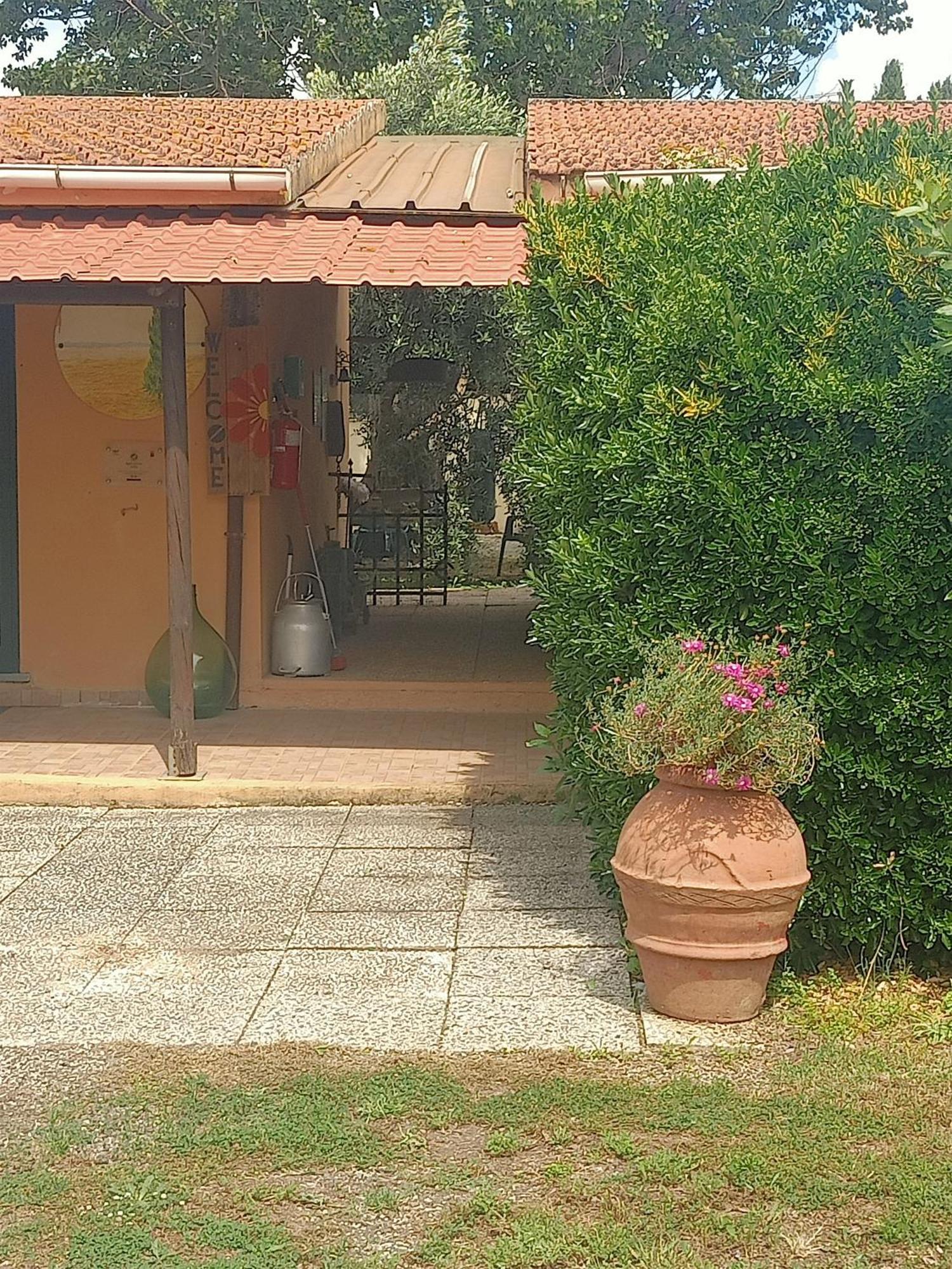 Agriturismo Il Cipresso Vada Bagian luar foto
