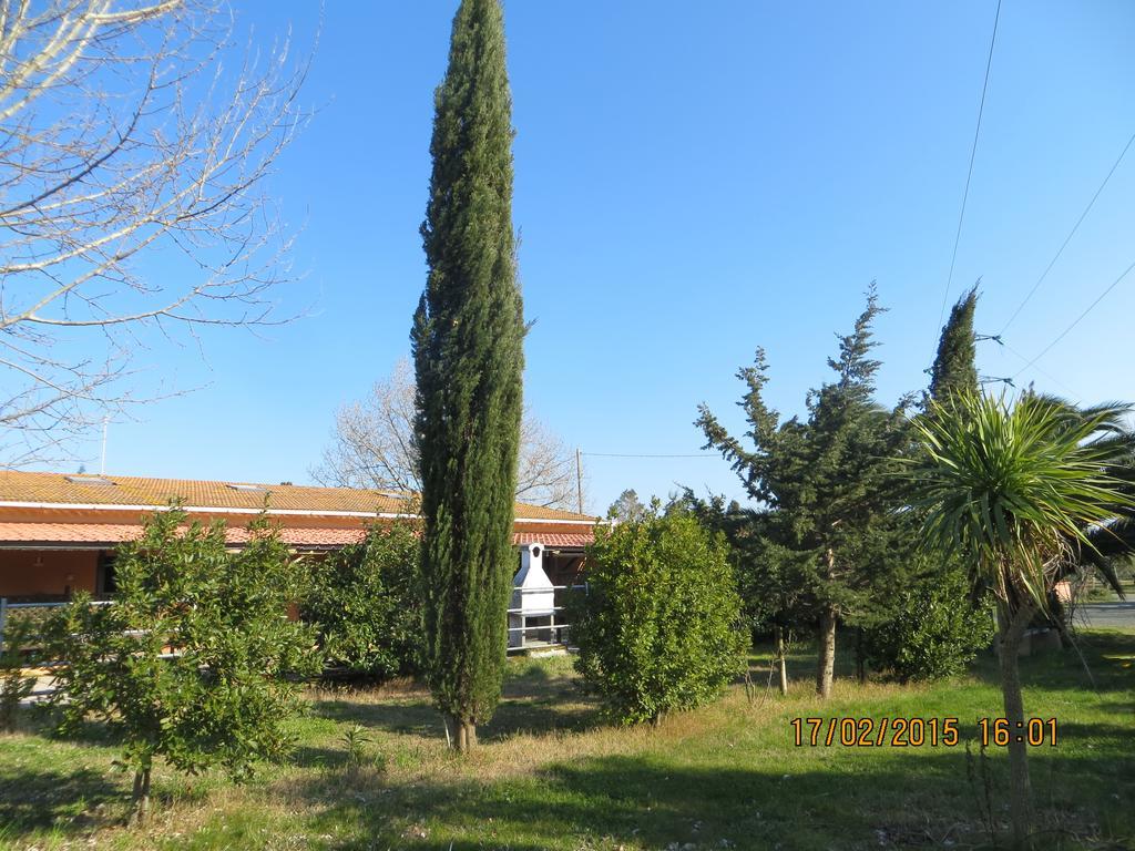 Agriturismo Il Cipresso Villa Vada Bagian luar foto