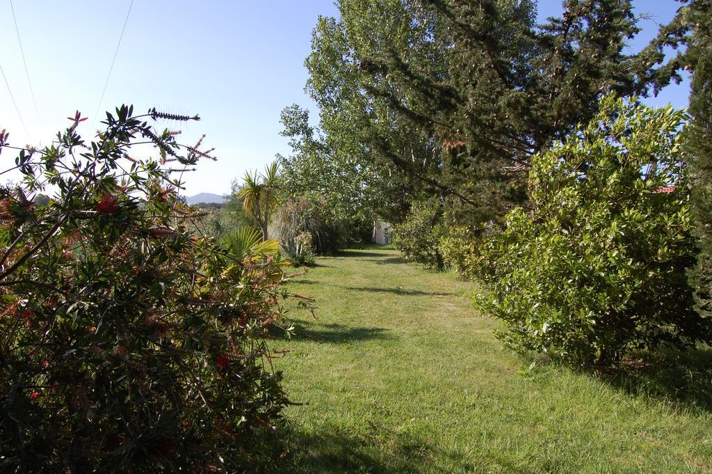 Agriturismo Il Cipresso Villa Vada Bagian luar foto